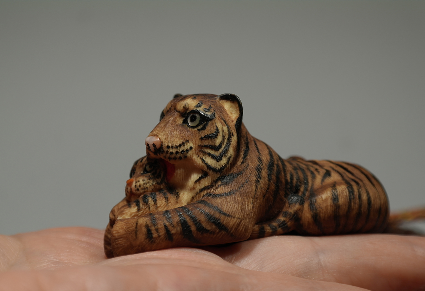 Tigress with a cub 004